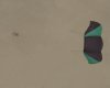 Kite.jpg