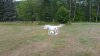 20150817_184142.jpg