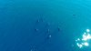 ImageUploadedByPhantomPilots - DJI Phantom Forum1440823152.546076.jpg