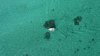 ImageUploadedByPhantomPilots - DJI Phantom Forum1440823224.203087.jpg