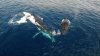 ImageUploadedByPhantomPilots - DJI Phantom Forum1440823308.411932.jpg