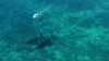 ImageUploadedByPhantomPilots - DJI Phantom Forum1440823455.889585.jpg