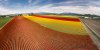 DJI00059-Edit.jpg
