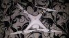 IMG-20151112-WA0019.jpeg