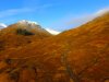 1-DJI_0014.JPG
