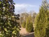 DJI_0031c.jpg
