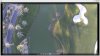 spot-golf_1.jpg