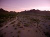 DJI_0001 - Version 2.jpg