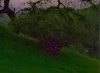 capture1.JPG