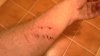 20140531_004326.jpg
