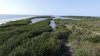DJI_0049.JPG