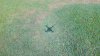 DJI_0007.JPG