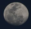 moon.jpg