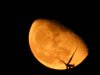 windmillmoon.jpg