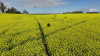 1vlcsnap-2016-09-17-19h48m15s047.png