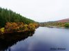 DJI_0246 (2)_wm.jpg