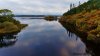 DJI_0224 (2)_wm.jpg