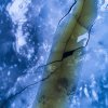 DJI_0159.jpg