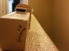 20170211_115247.jpg