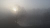DJI_0011.JPG