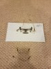20170428_214037.jpg