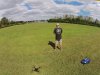 DJI00199 aa.jpg
