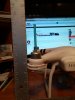 20170804_181759.jpg