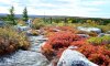 DSC_5916c.jpg