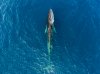 DJI_0054.jpg