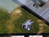 sunbake.jpg