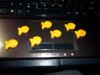 100_0096.JPG