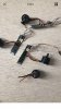 019FE06D-F2C7-4878-A265-3C25565F860A.png
