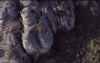 Can Rock 2.png