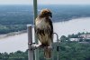 LRM_EXPORT_20180602_223714.jpg