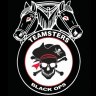 BlackOpsTeamster