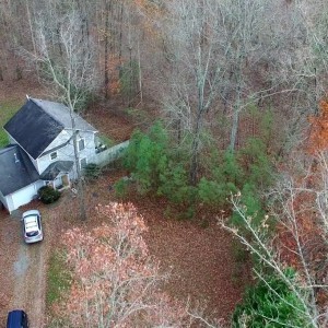 DJI Phantom 3 Professional - Home in The Woods Flyover - YouTube