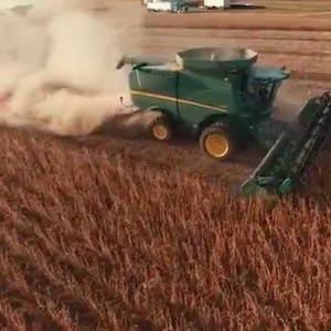 Corey Lewison Soybean Harvest 2015