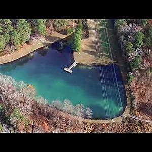 Aerial View of Brumley Forest Nature Preserve
