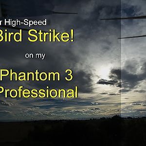 Near High-Speed Bird Strike on my P3P?