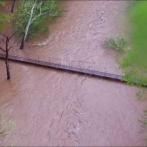 Water (Just) Under the Bridge at Eno River Park - Durham, NC