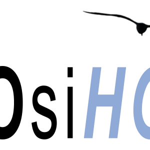 Hosiho.COM 2021 - Logo simple Rectangle-3000pix-300dpi.png