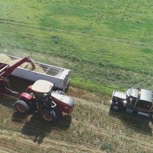 2021 Wheat harvest - State of Kansas, United States of America