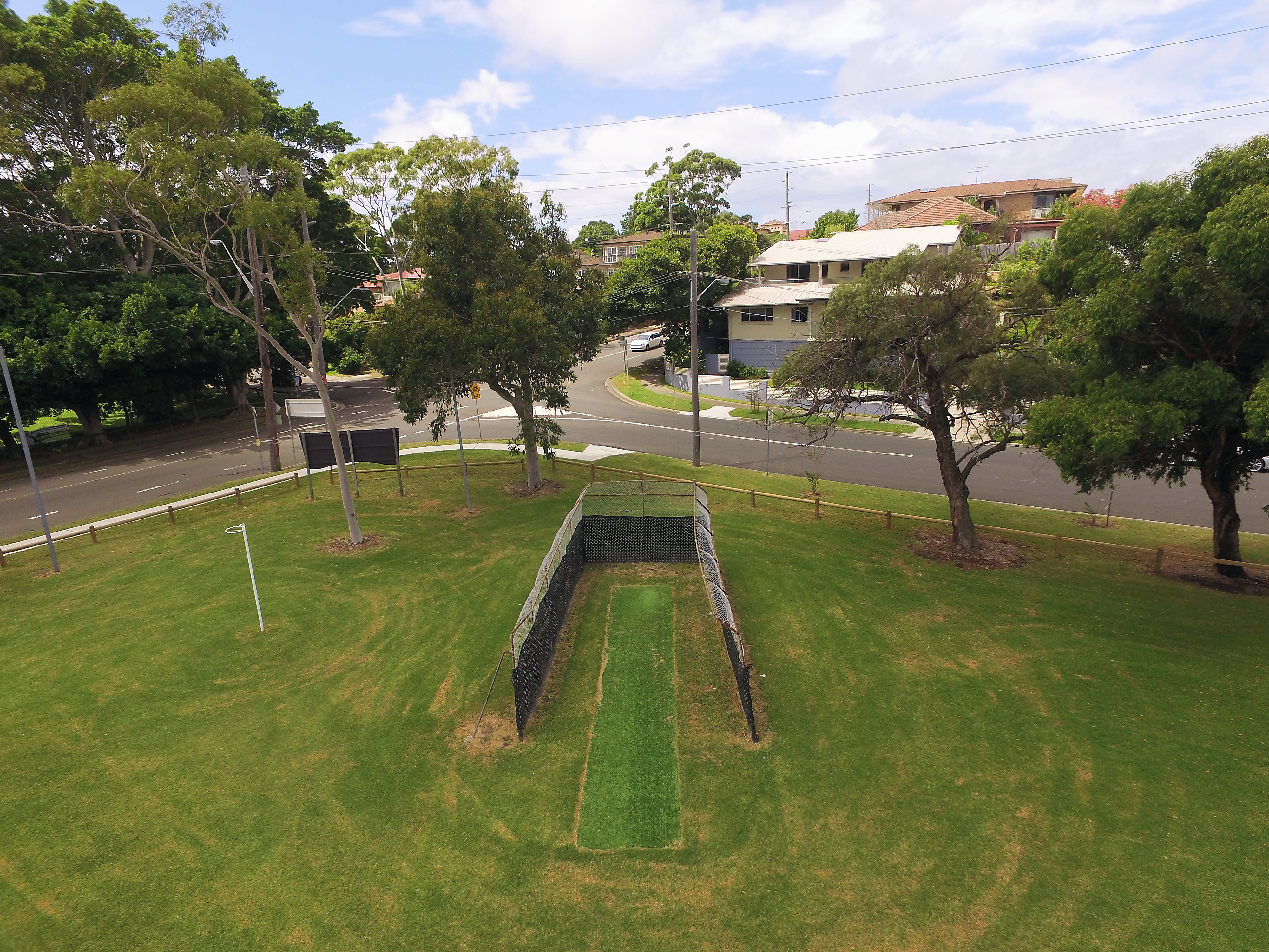 Cricket pitch