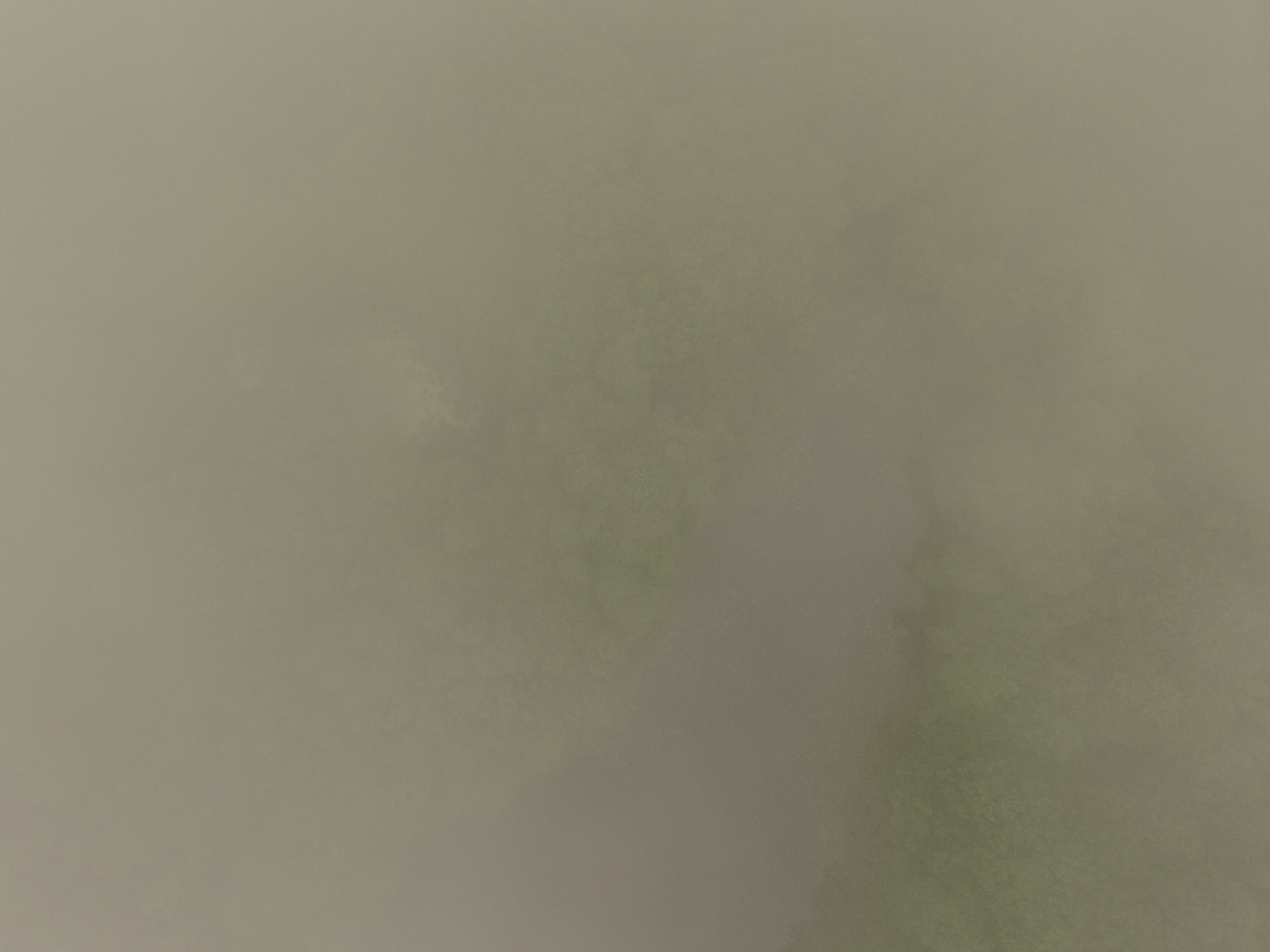DJI_0427