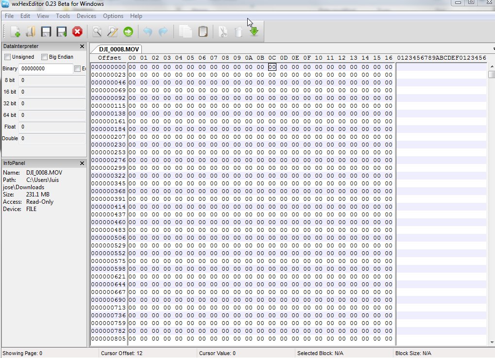 Hexeditor view of a Video File