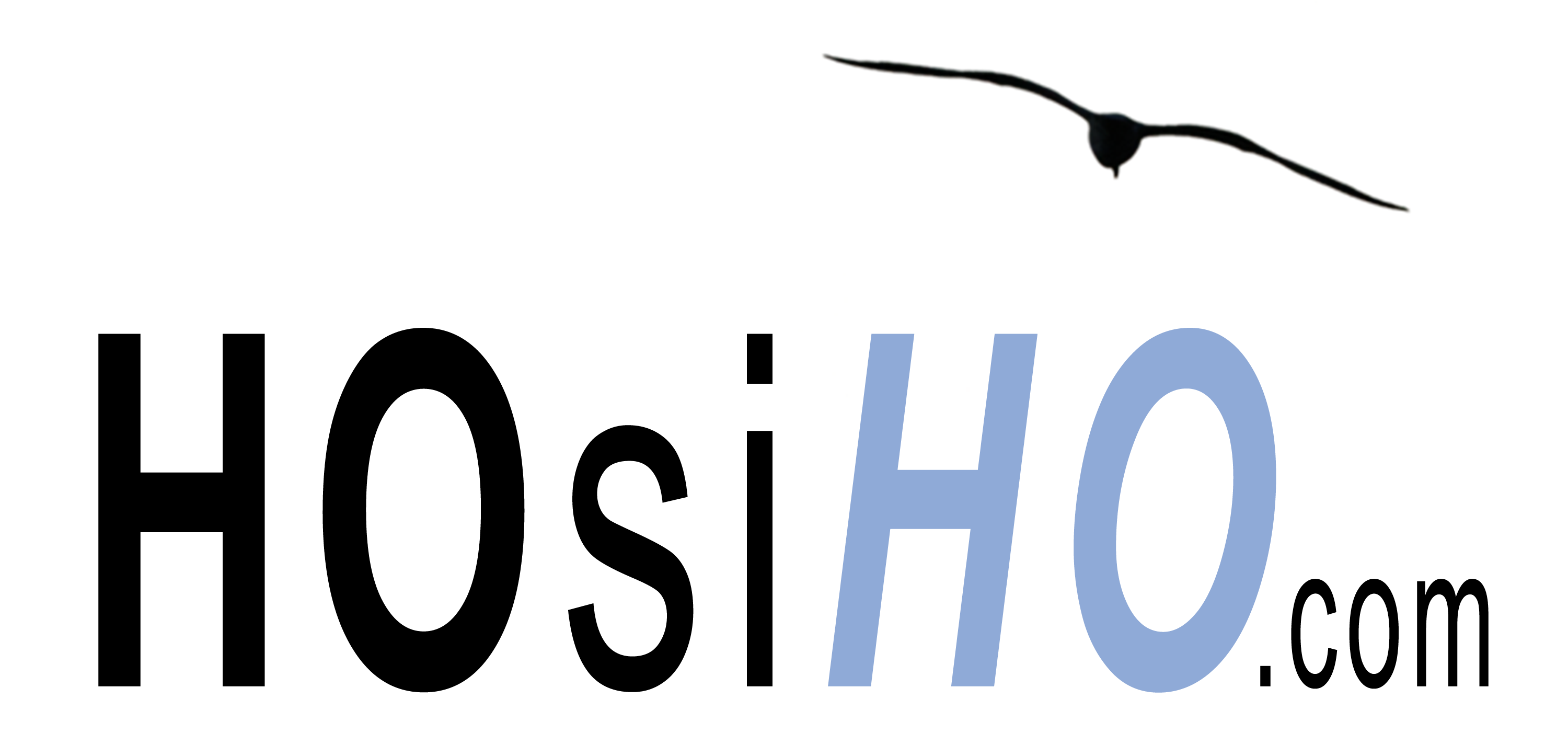 Hosiho.COM 2021 - Logo simple Rectangle-3000pix-300dpi.png
