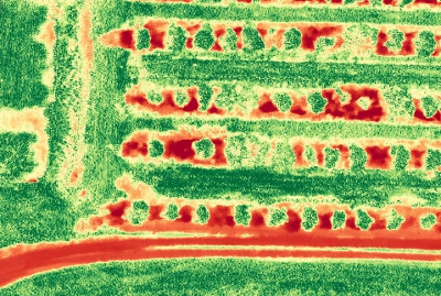 NDVI1