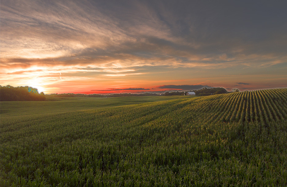 Sunset Near New Salisbury, Indiana