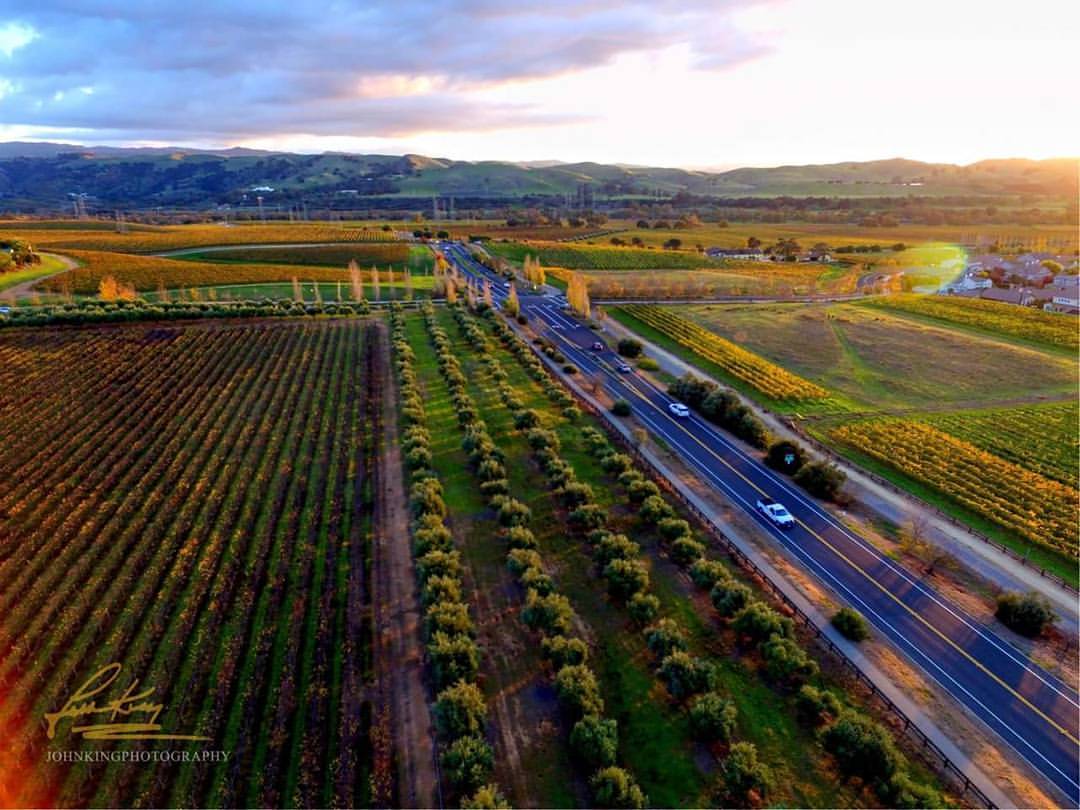 Winery From Above